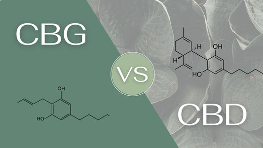 What is CBG? What are the potential benefits?