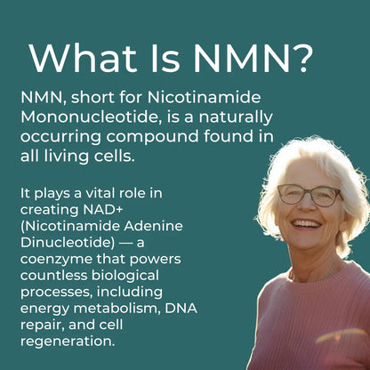 NMN Supplement