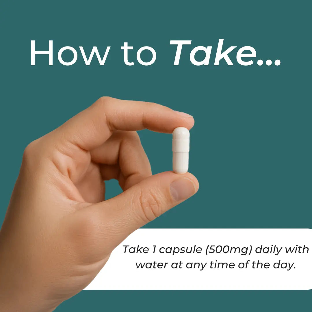 NMN Supplement